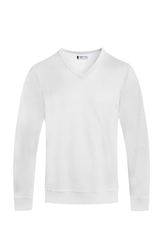 Solid V-Neck Sweater