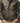 Biker Jacket