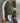 Suedette Sneakers