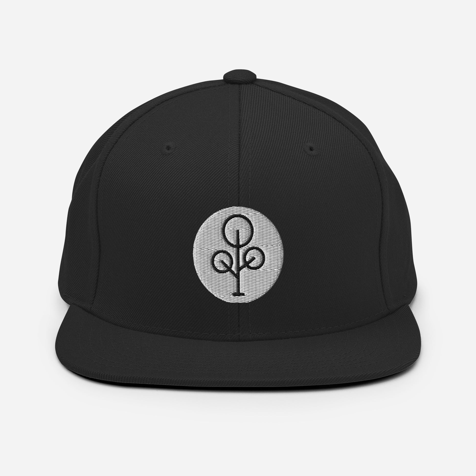 BHawse Family Ties Snapback Hat Black