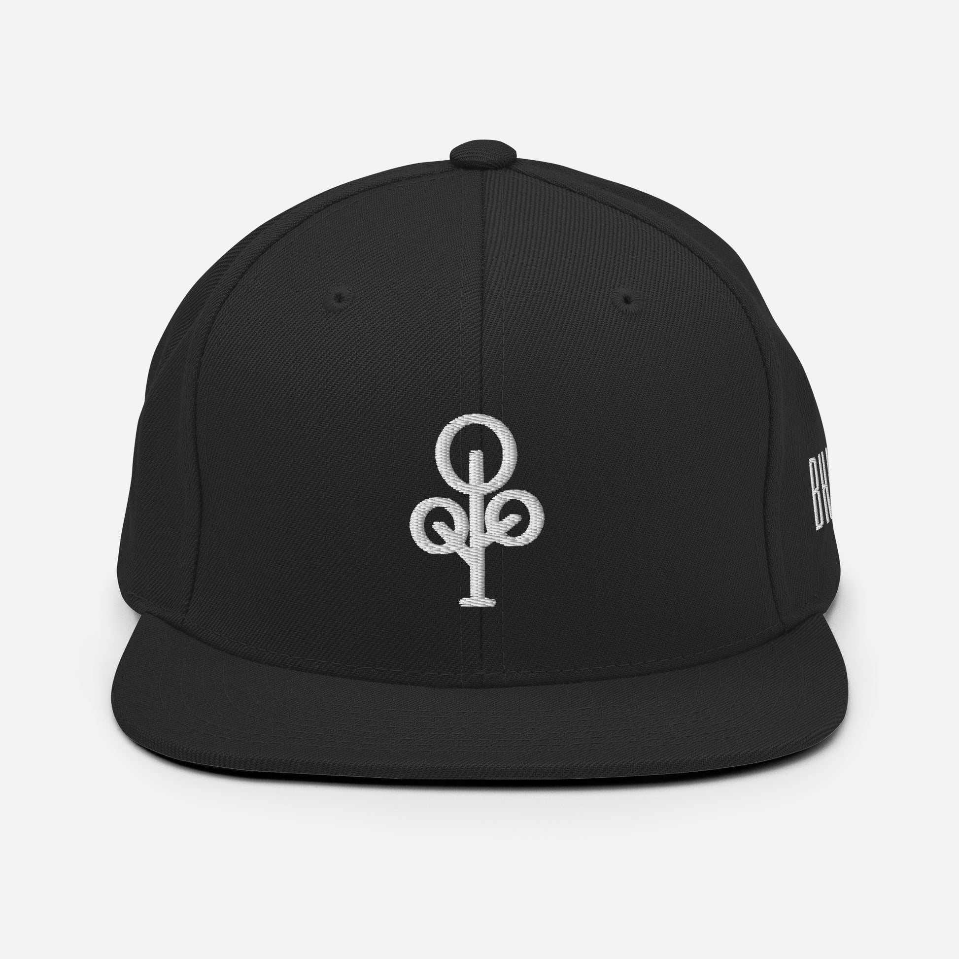 BHawse Ties Snapback B1