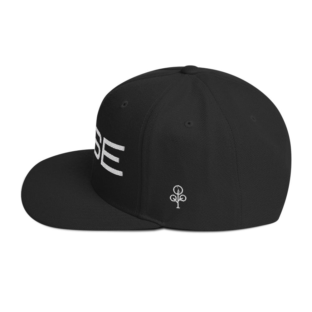 BHSE Snapback Hat