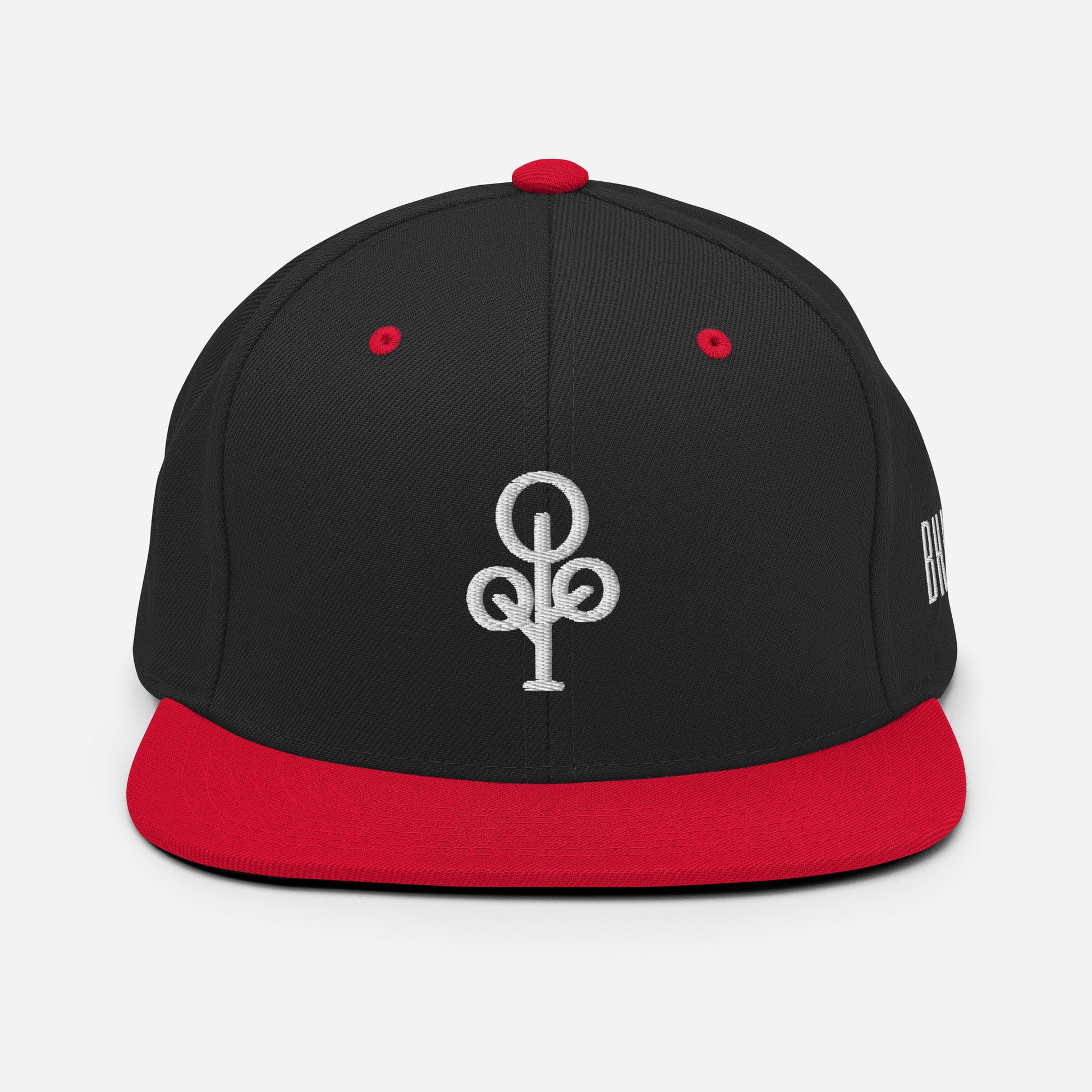 BHawse Ties Snapback B1