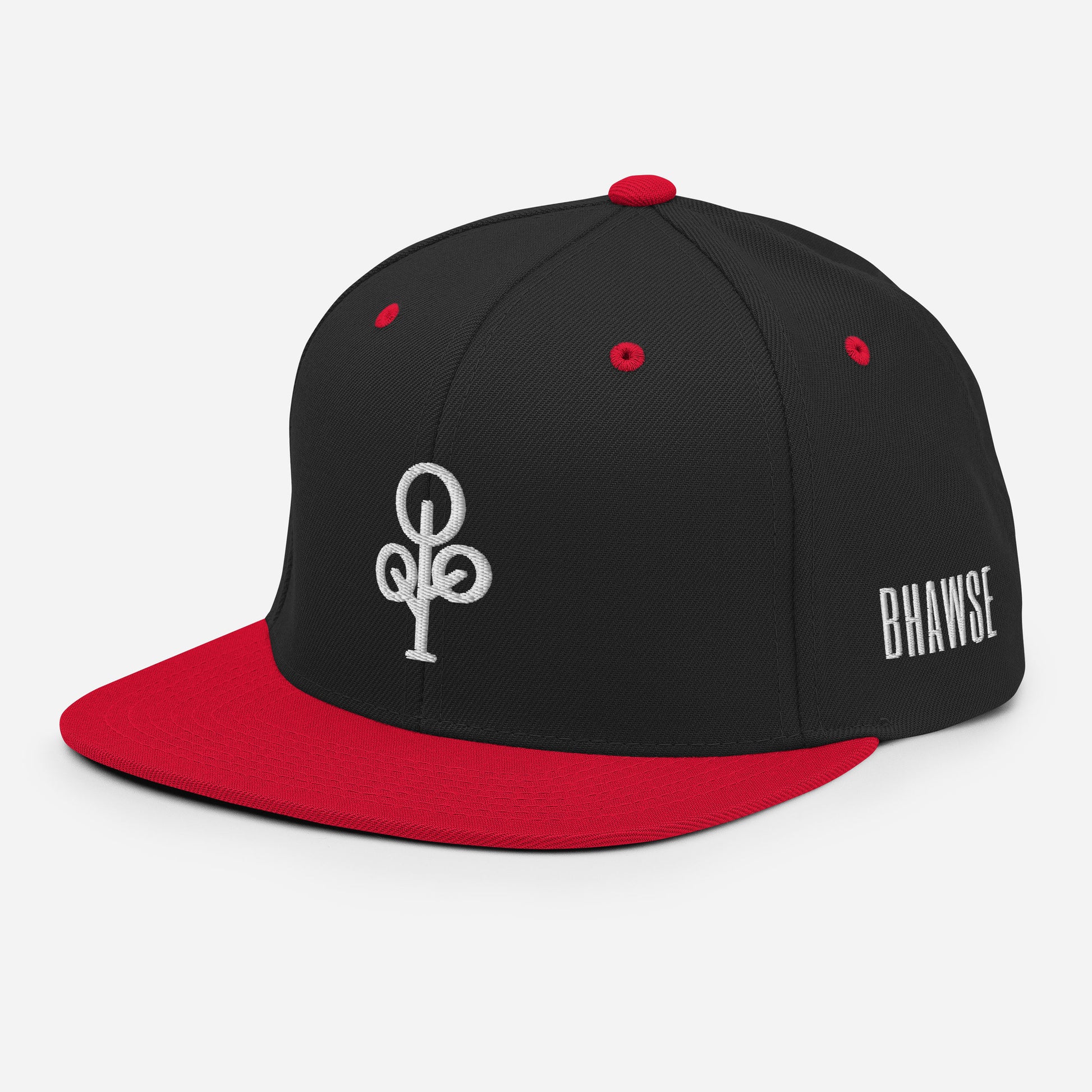 BHawse Ties Snapback B1