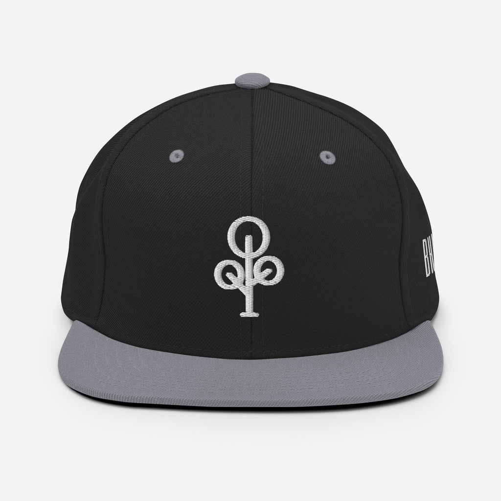 BHawse Ties Snapback B1
