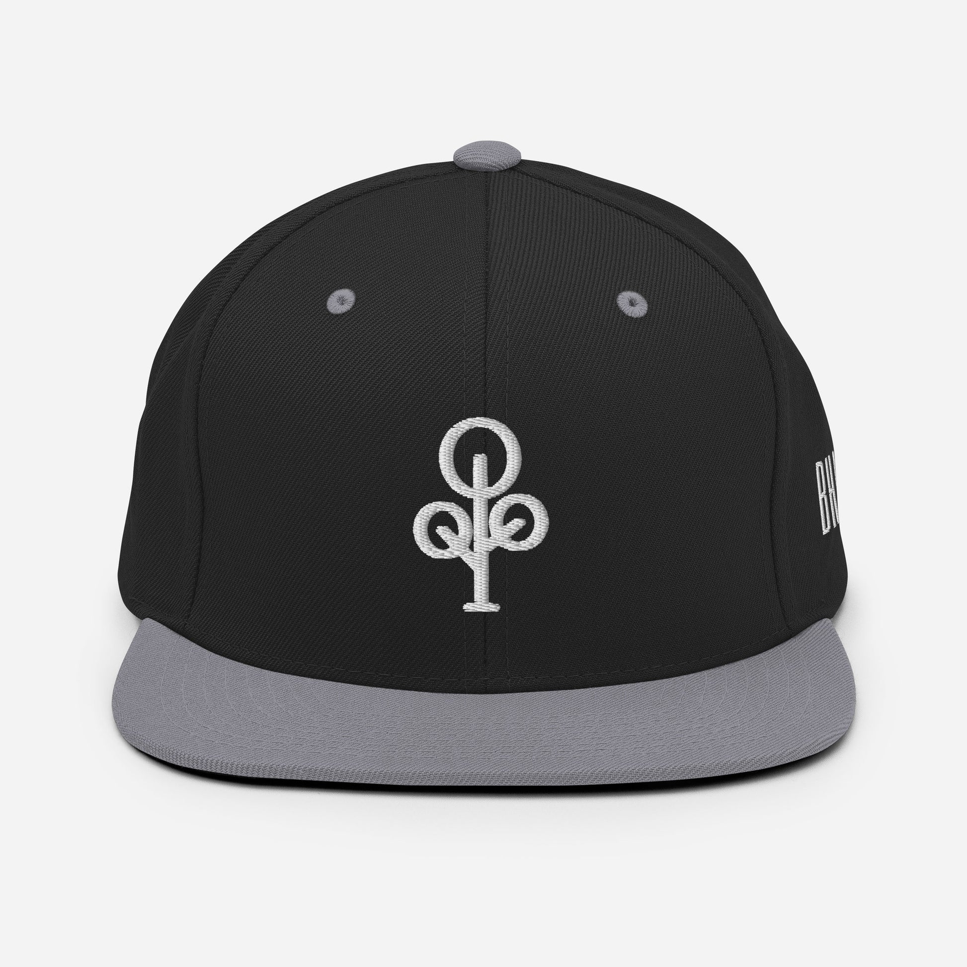 BHawse Ties Snapback B1