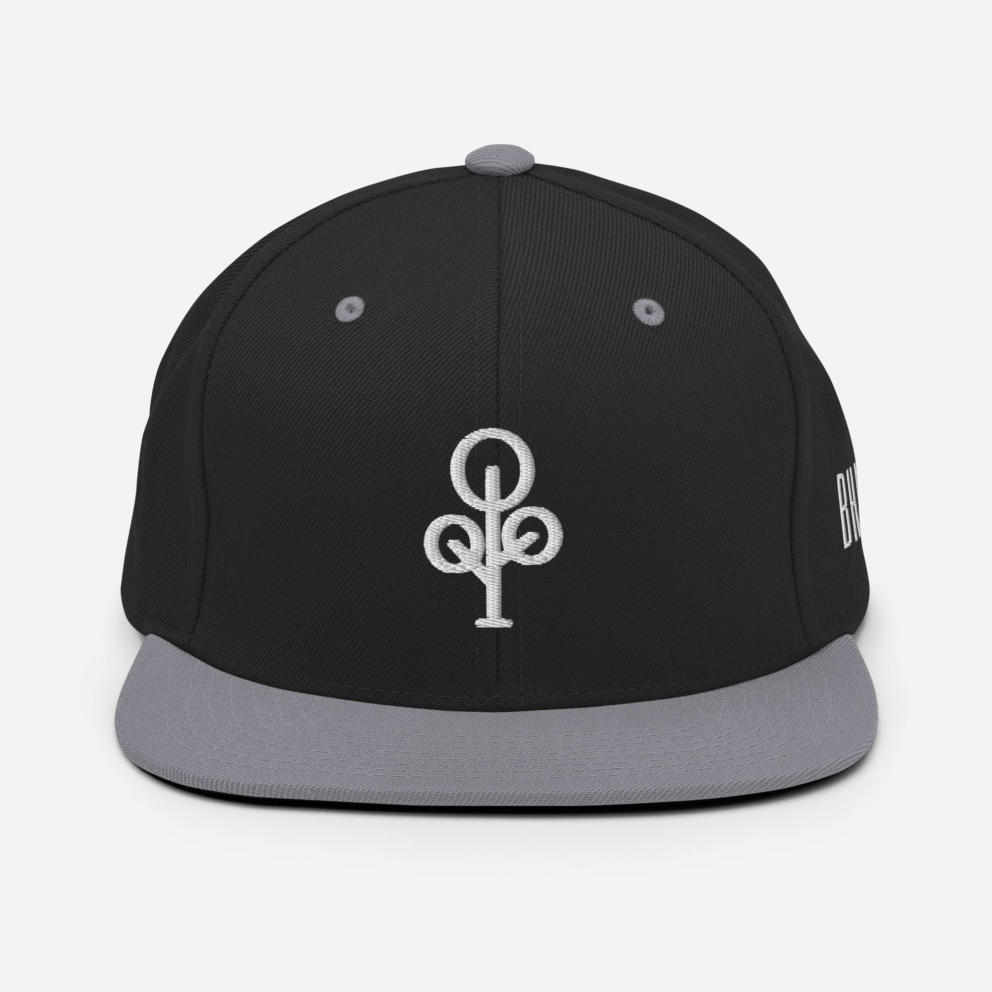 BHawse Ties Snapback B1