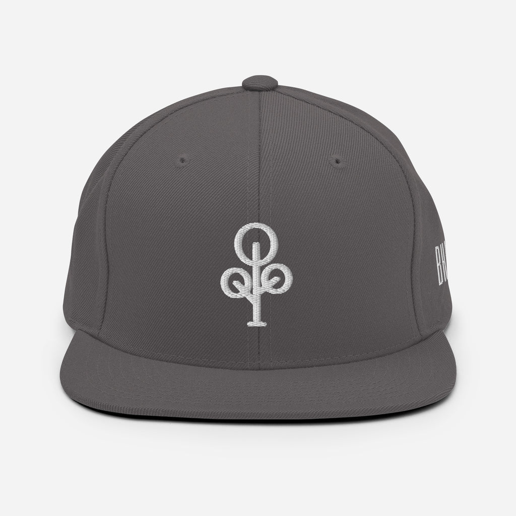 BHawse Ties Snapback B1