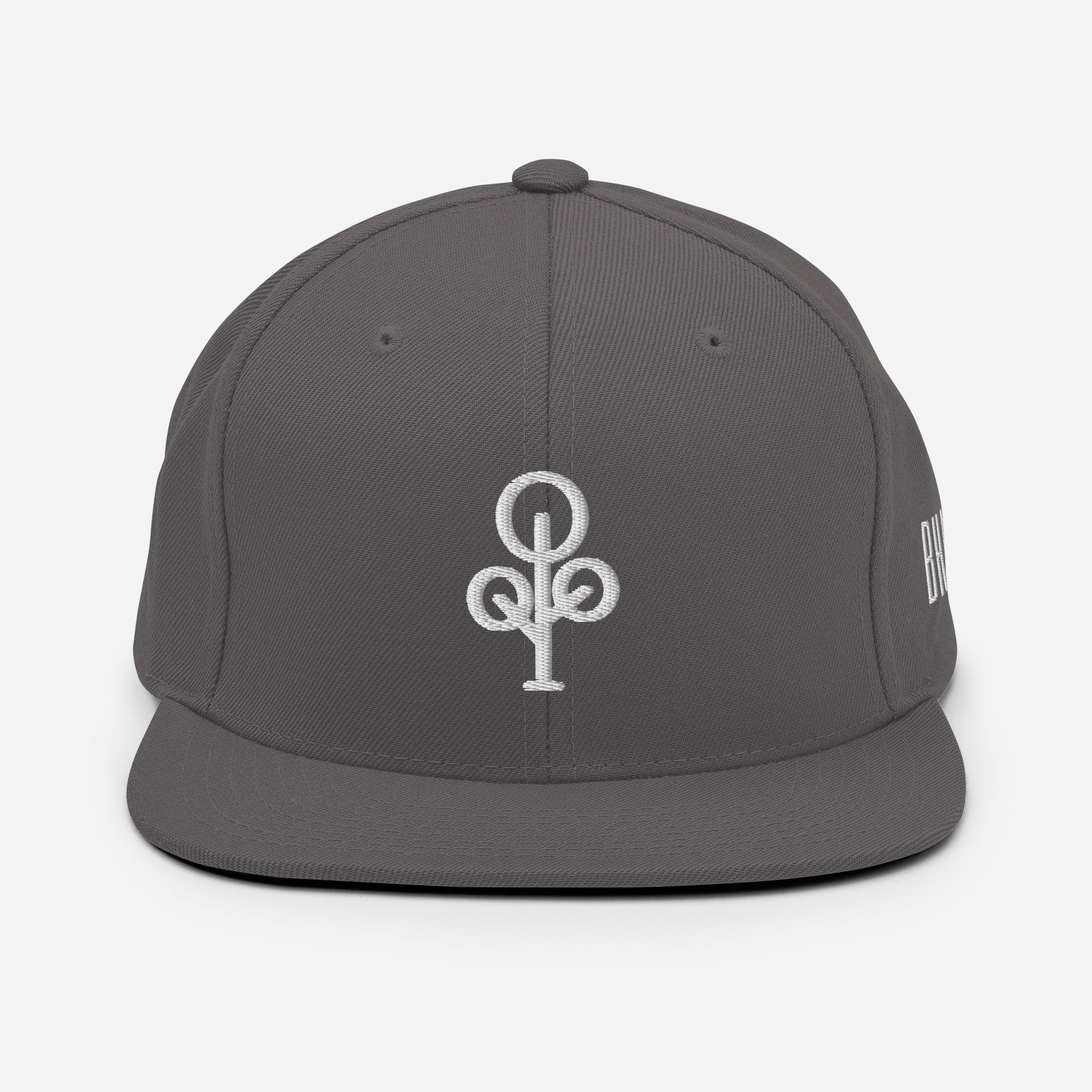 BHawse Ties Snapback B1
