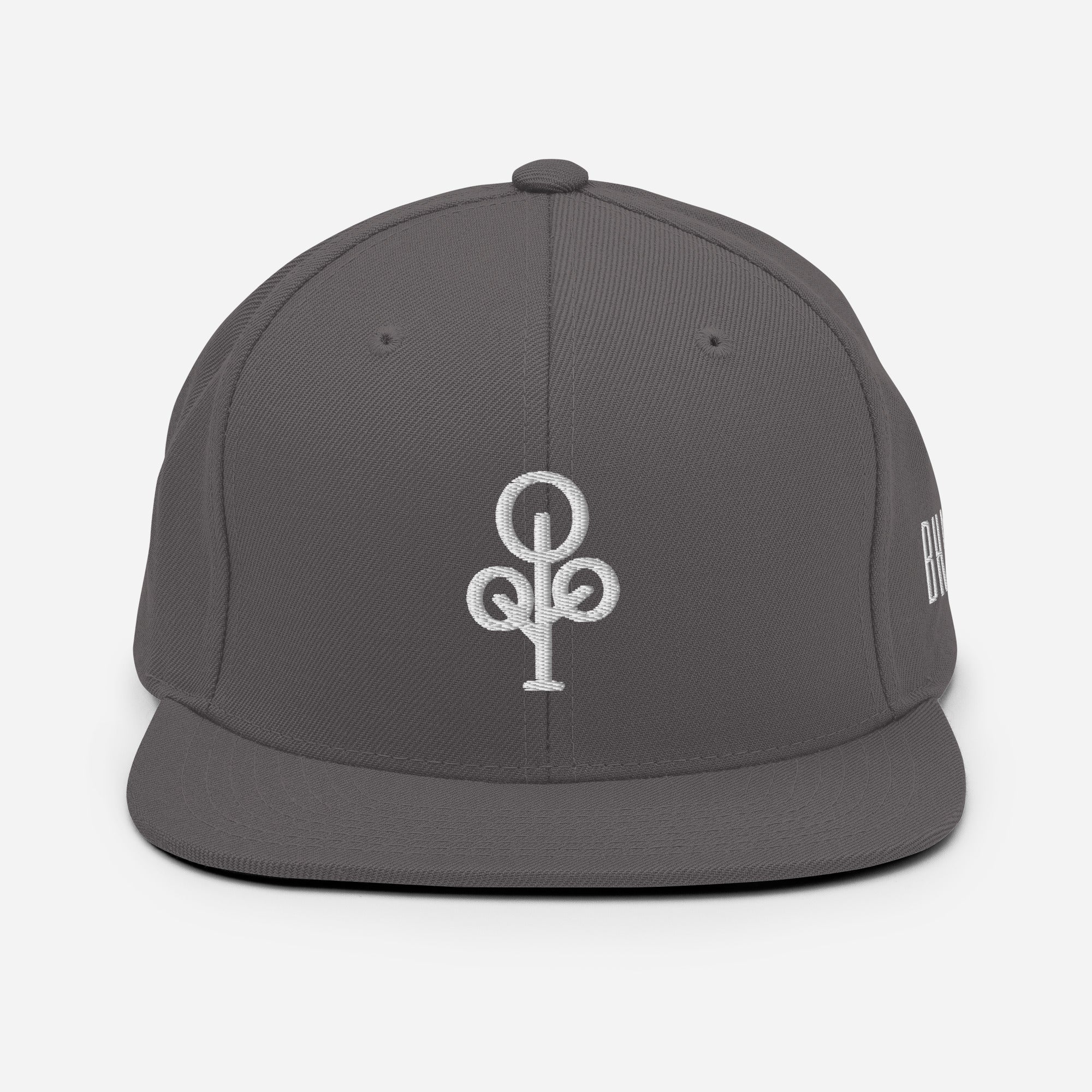BHawse Ties Snapback B1