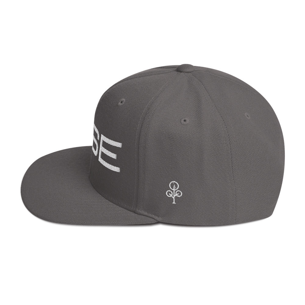 BHSE Snapback Hat