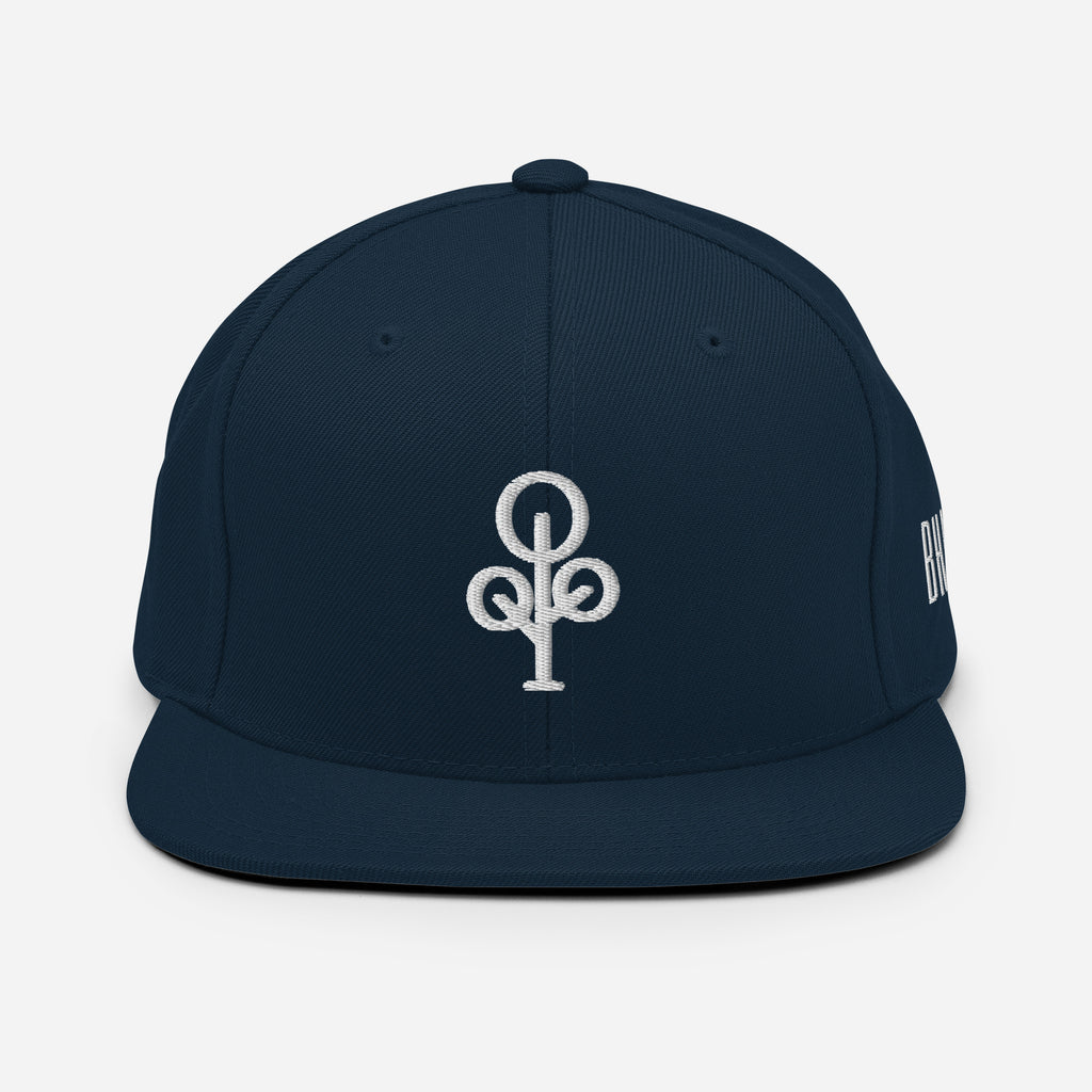BHawse Ties Snapback B1