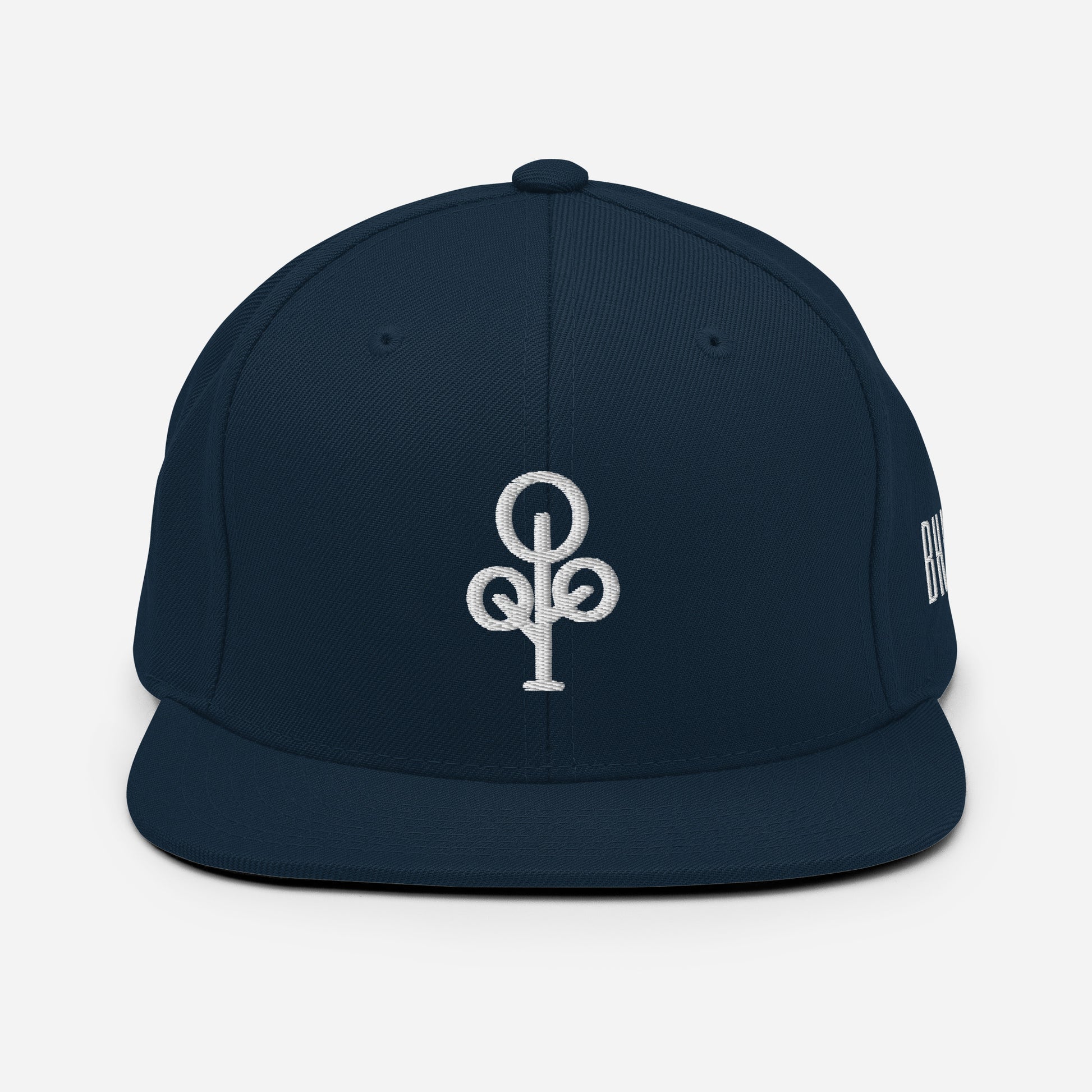 BHawse Ties Snapback B1