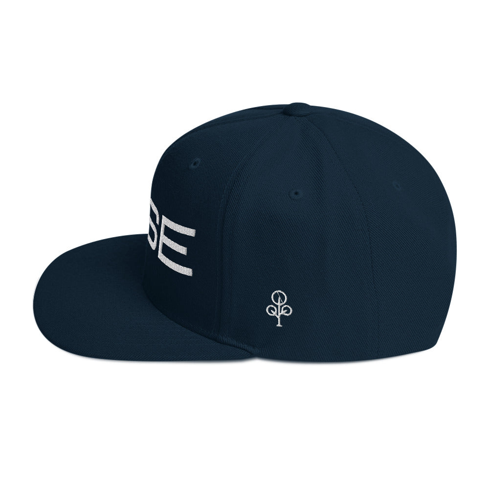BHSE Snapback Hat