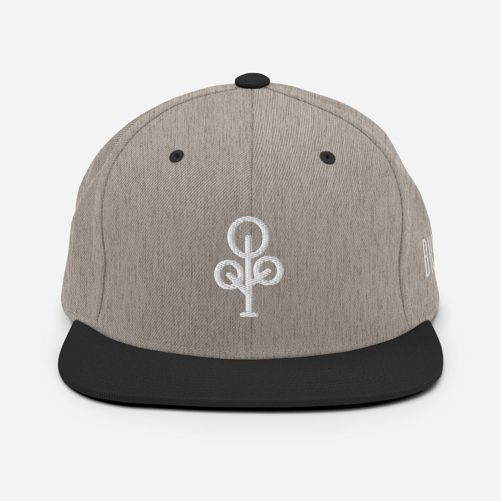 BHawse Ties Snapback B1