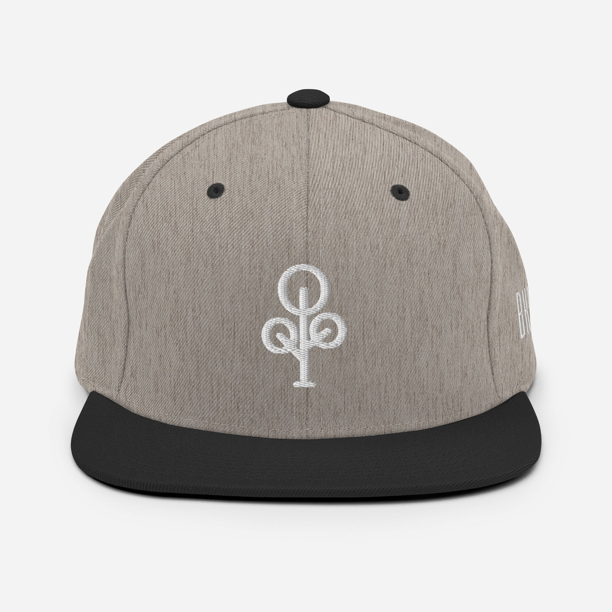 BHawse Ties Snapback B1