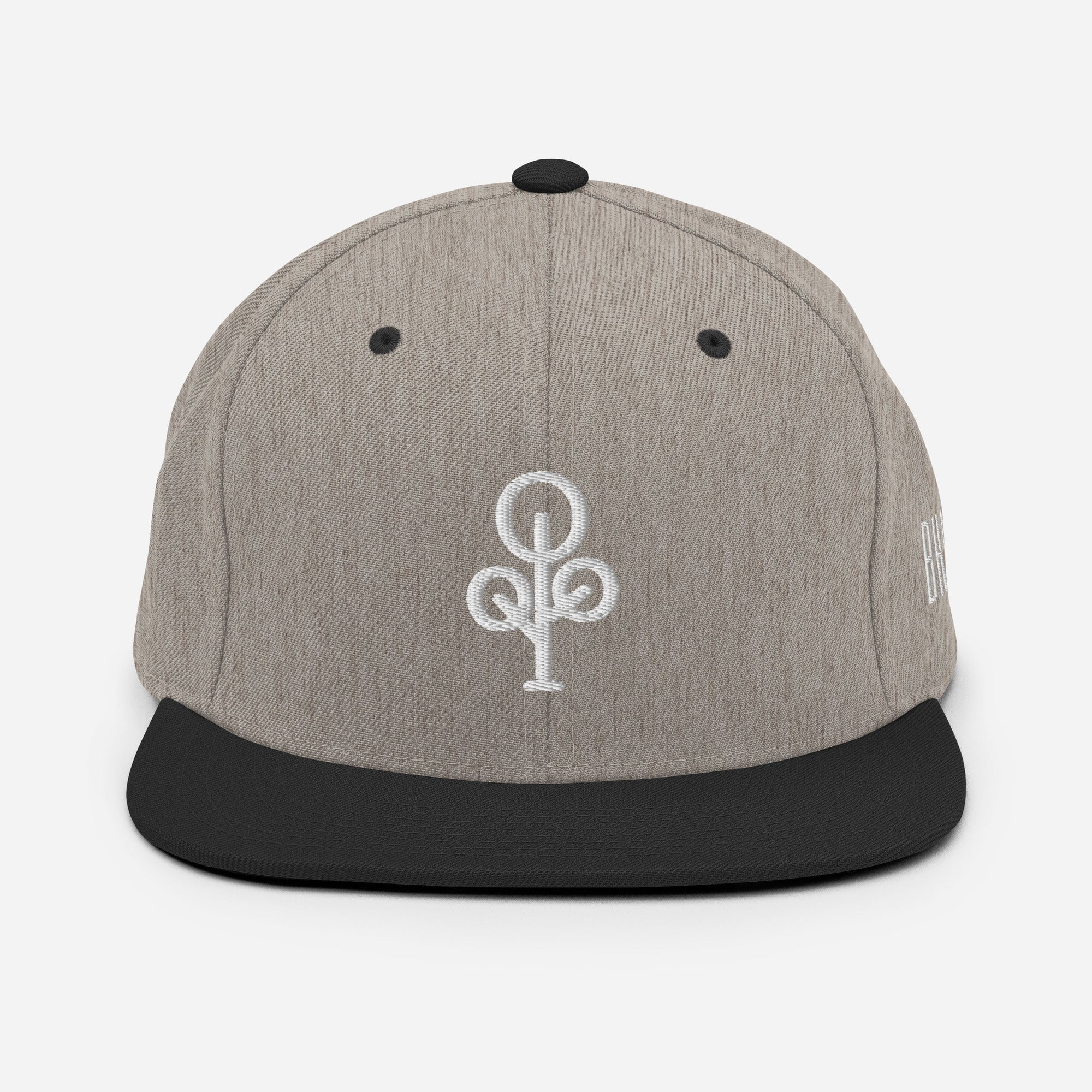BHawse Ties Snapback B1