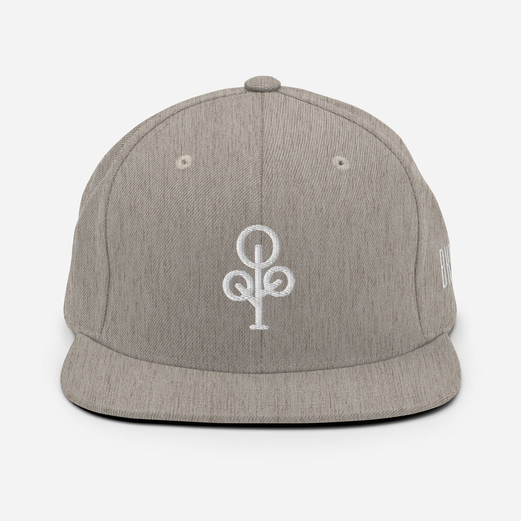 BHawse Ties Snapback B1