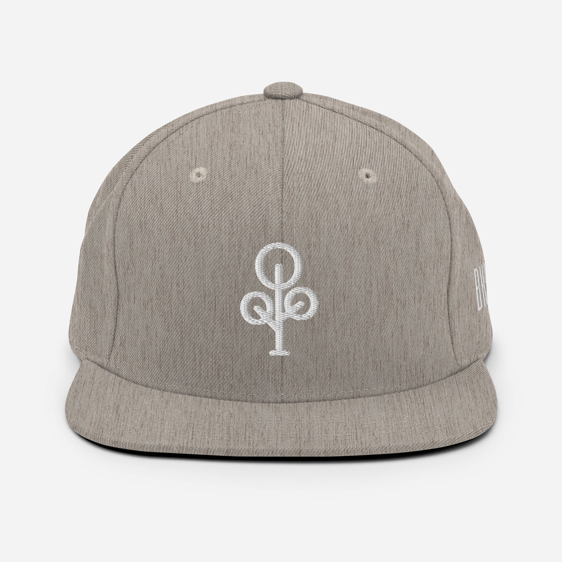 BHawse Ties Snapback B1