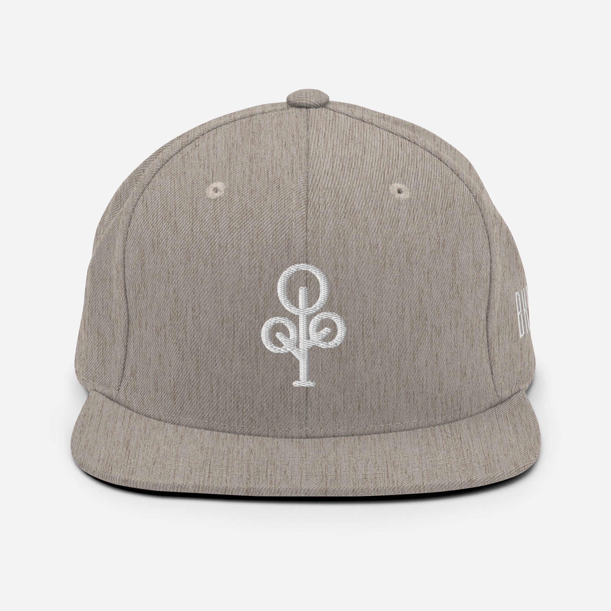 BHawse Ties Snapback B1