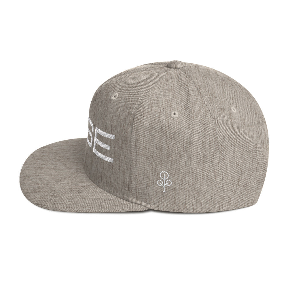 BHSE Snapback Hat