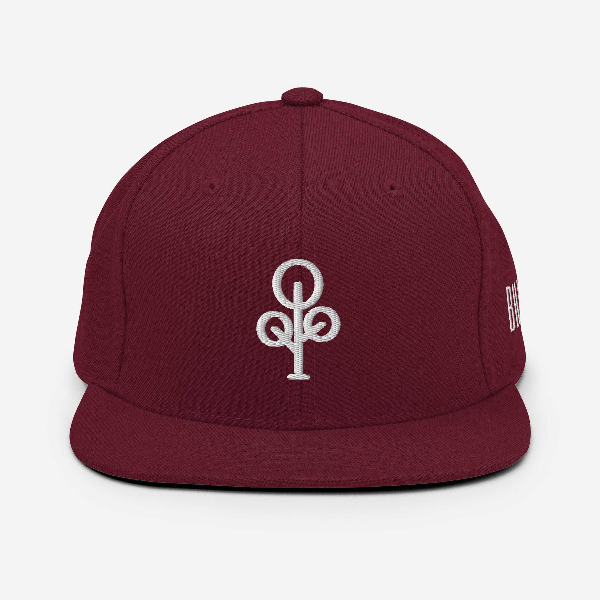 BHawse Ties Snapback B1