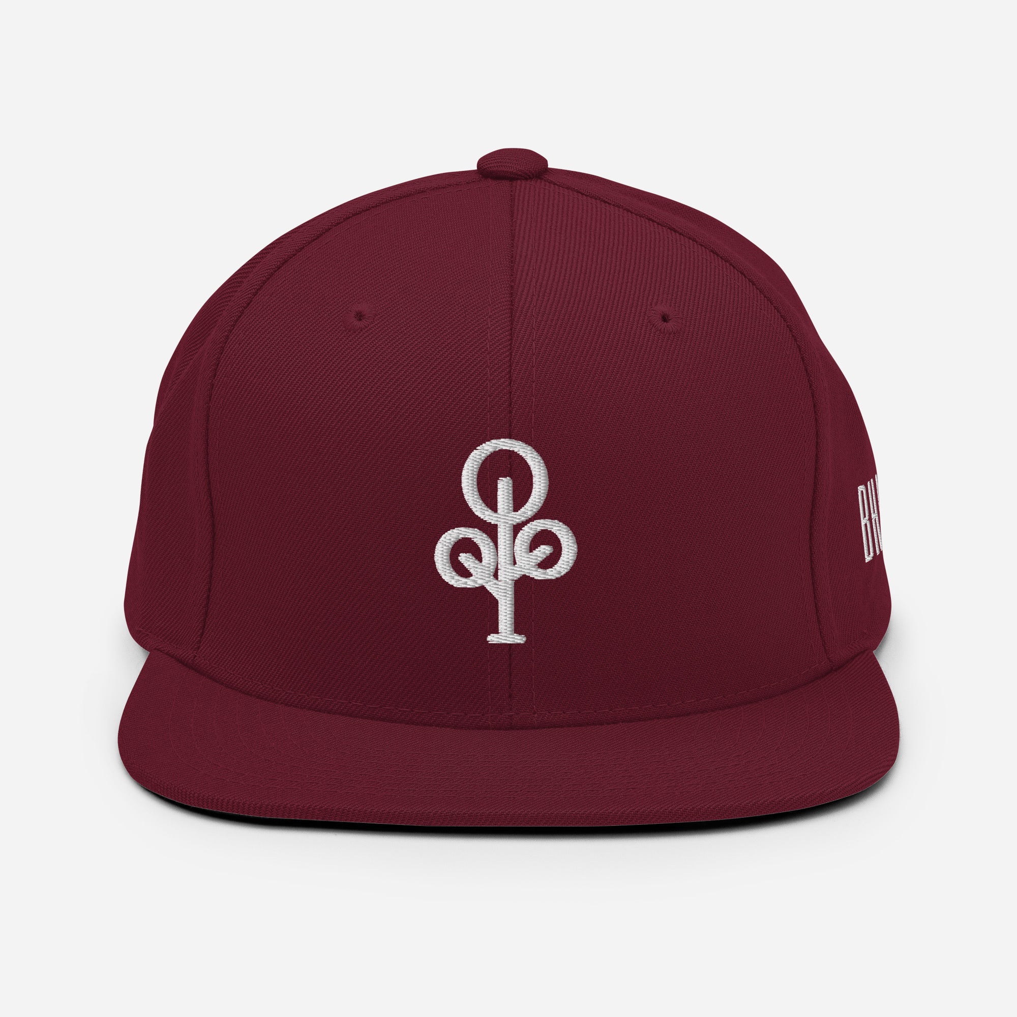 BHawse Ties Snapback B1