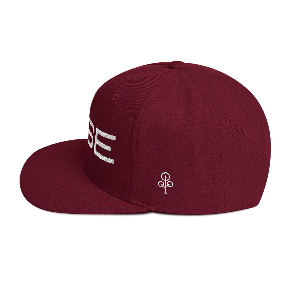 BHSE Snapback Hat