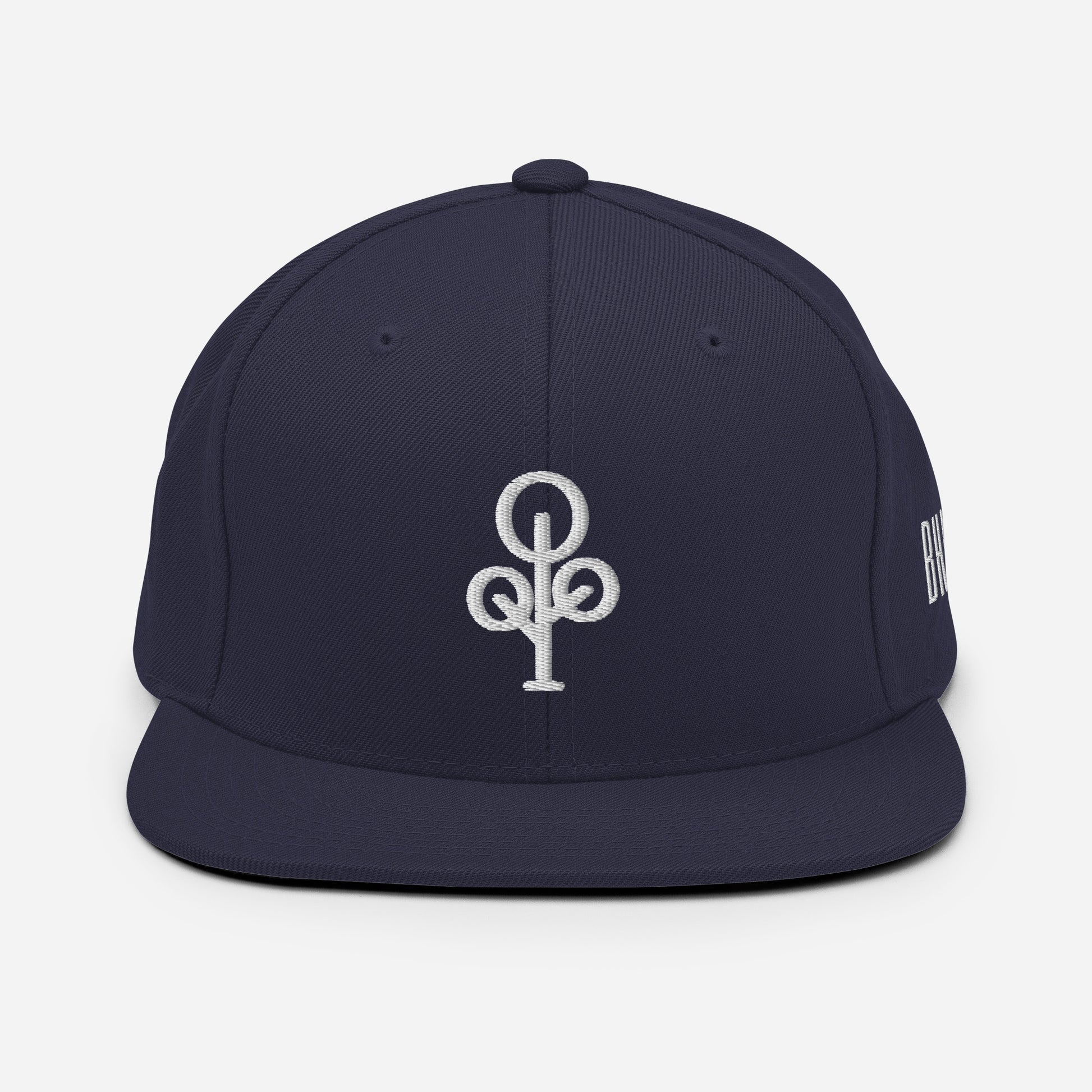 BHawse Ties Snapback B1