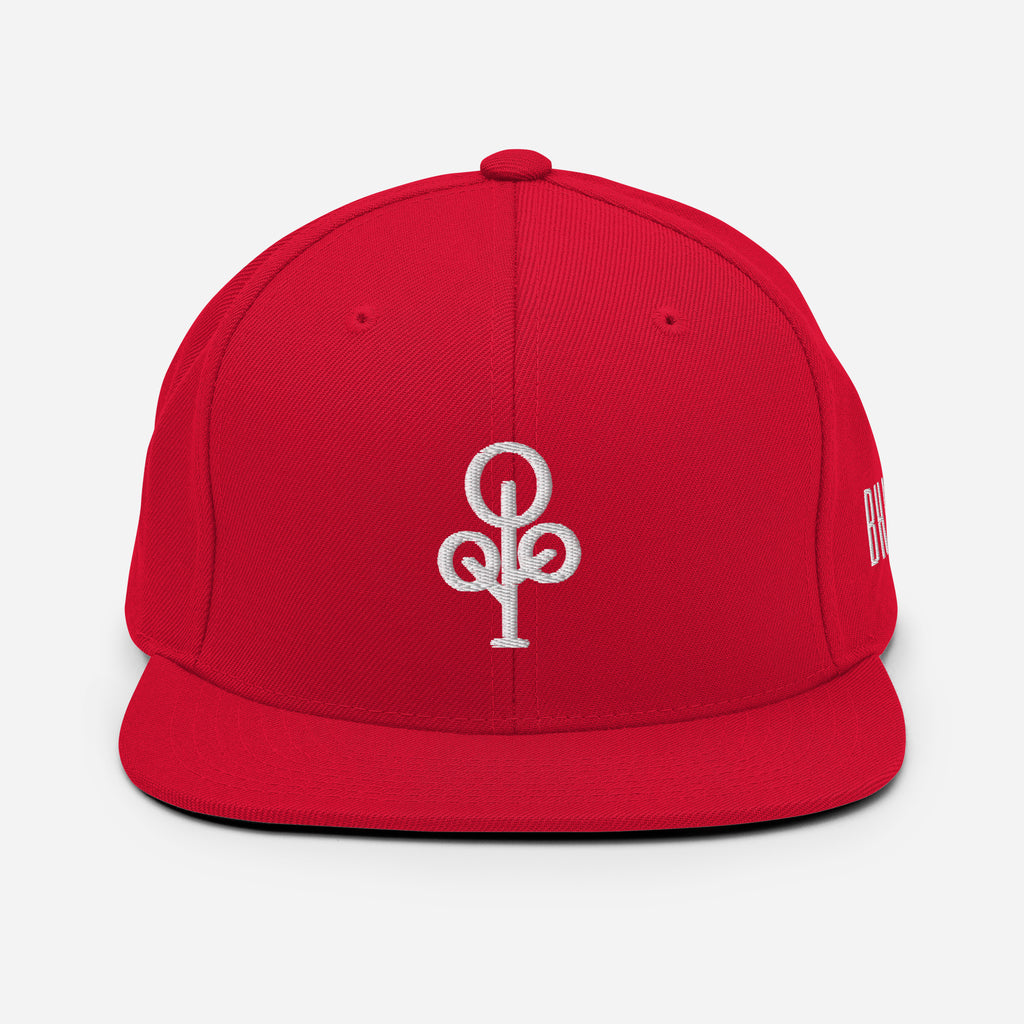BHawse Ties Snapback B1