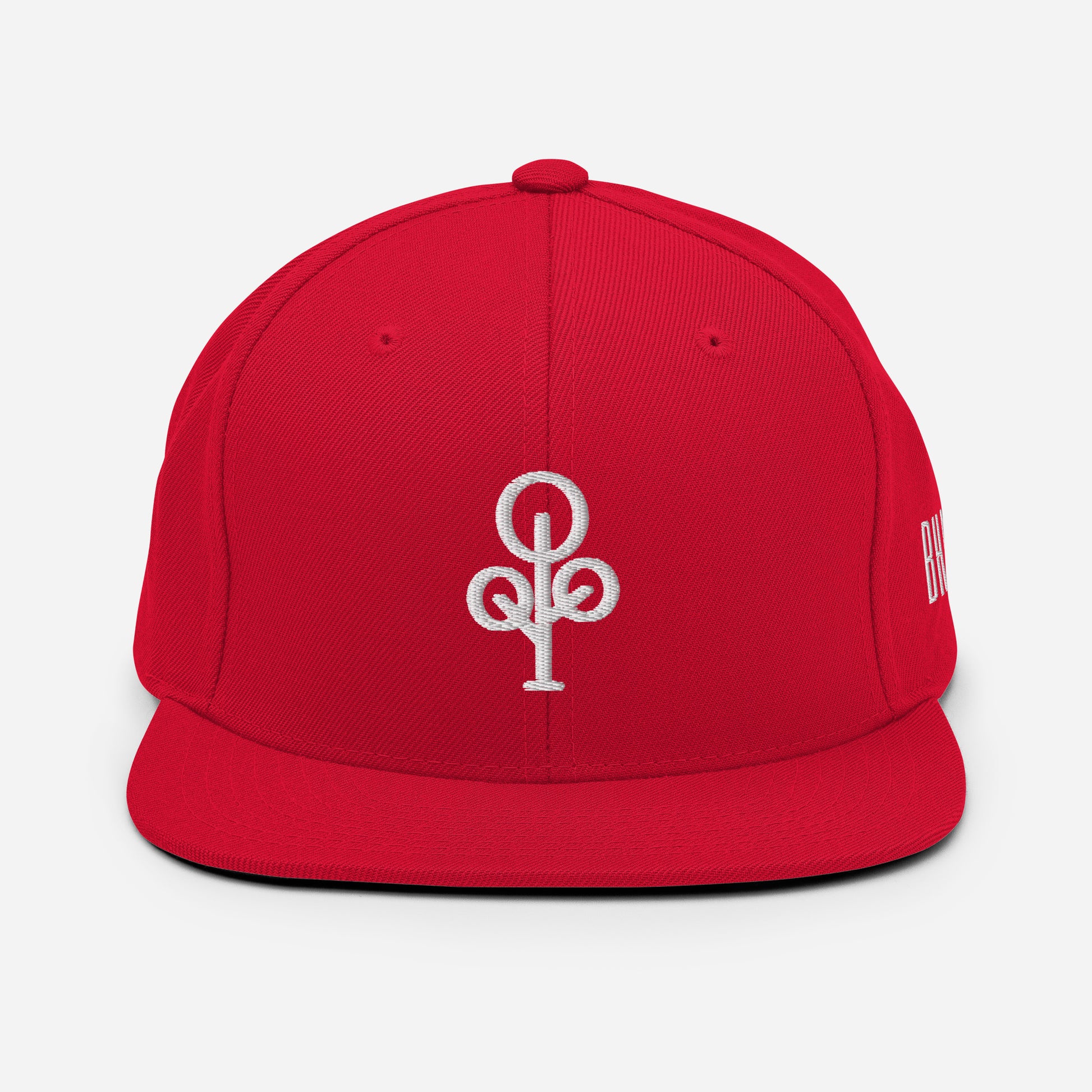 BHawse Ties Snapback B1