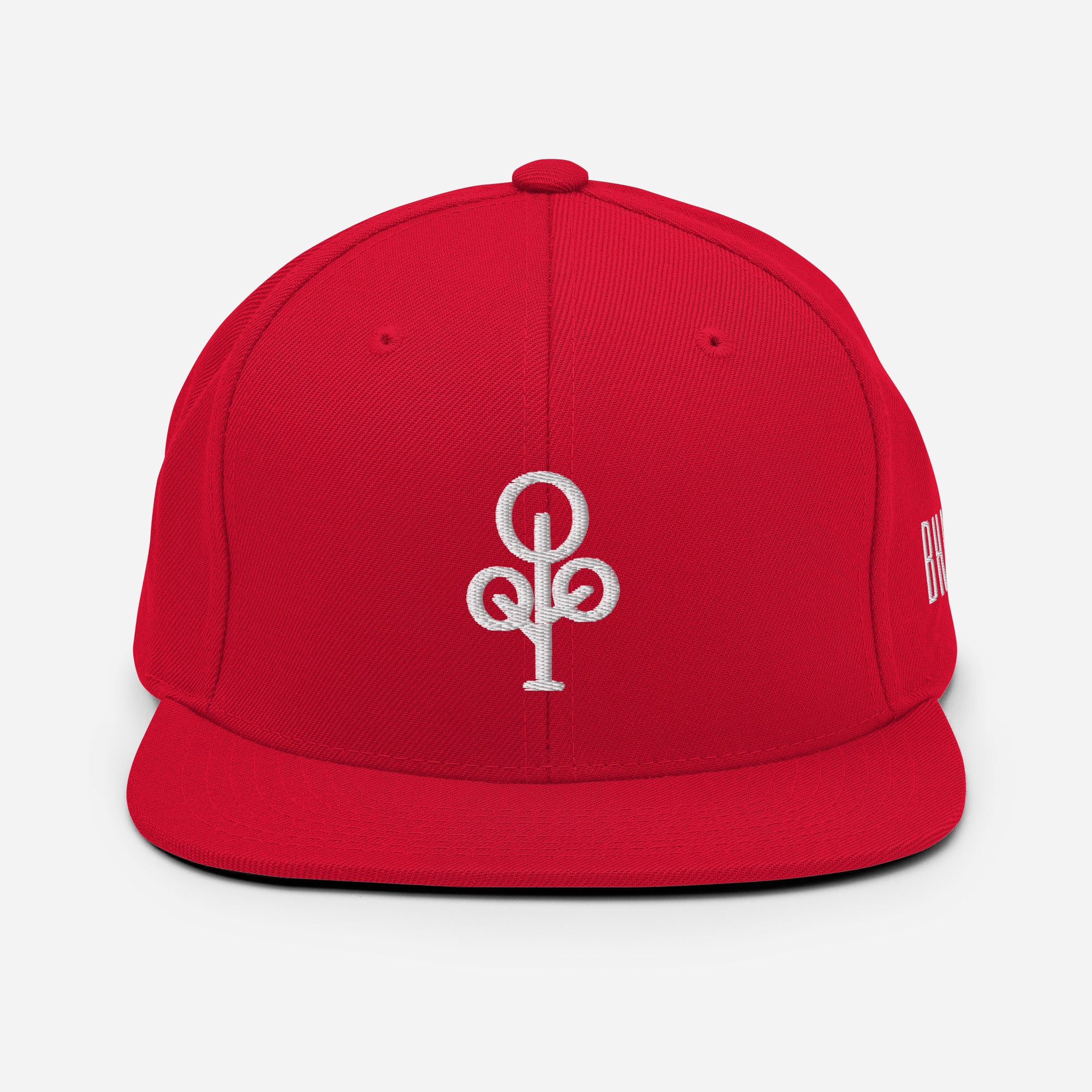 BHawse Ties Snapback B1