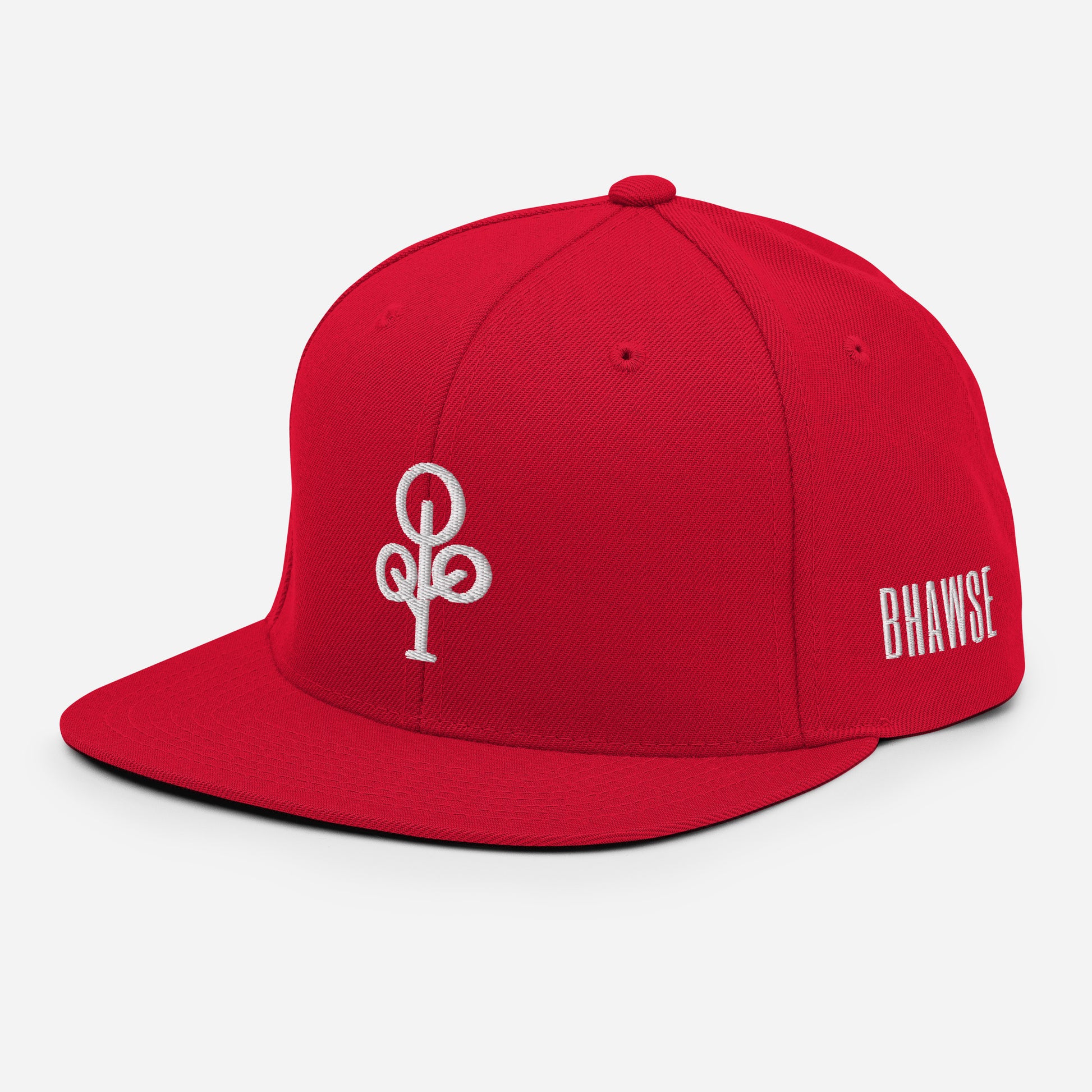 BHawse Ties Snapback B1