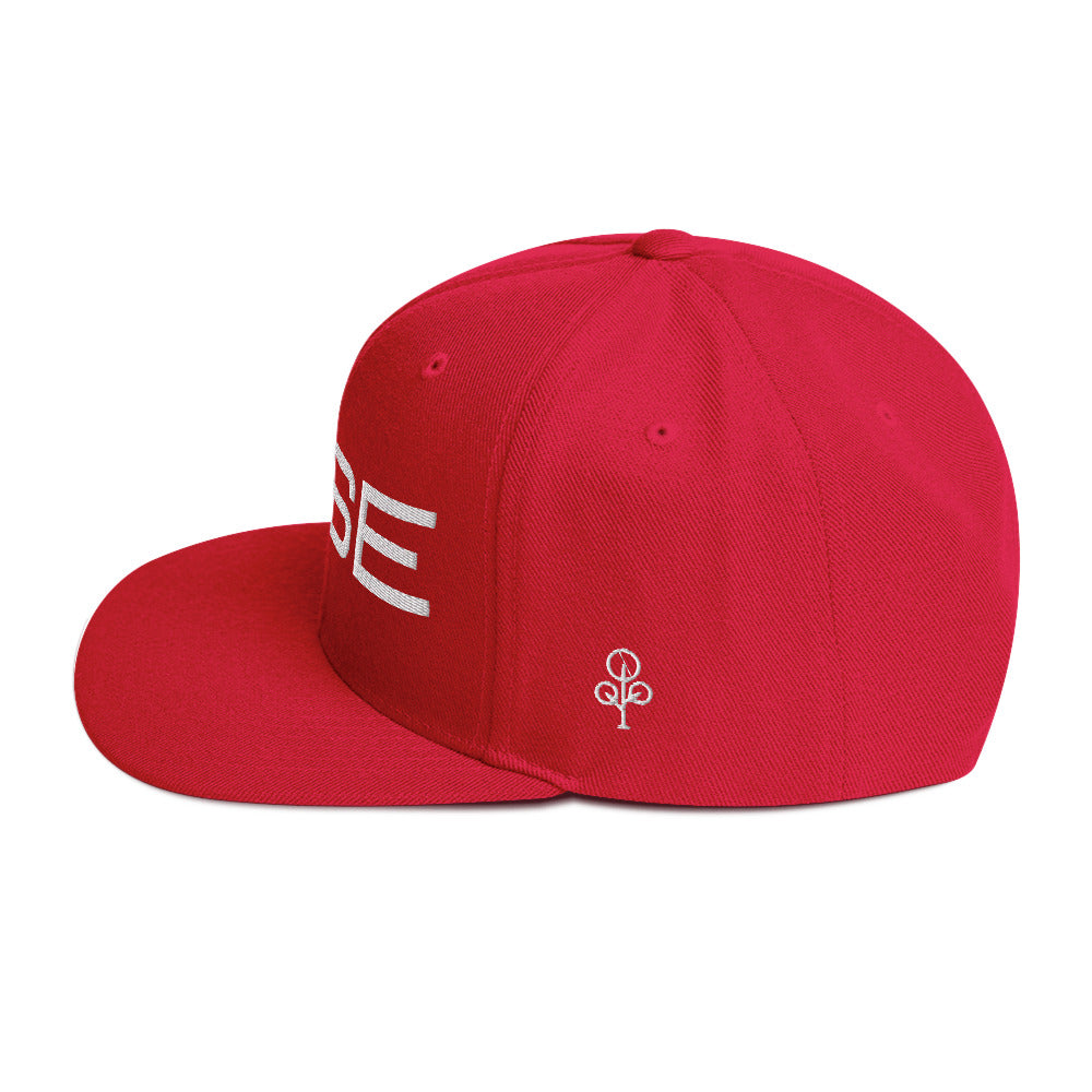 BHSE Snapback Hat