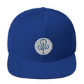 BHawse Family Ties Snapback Hat Royal Blue