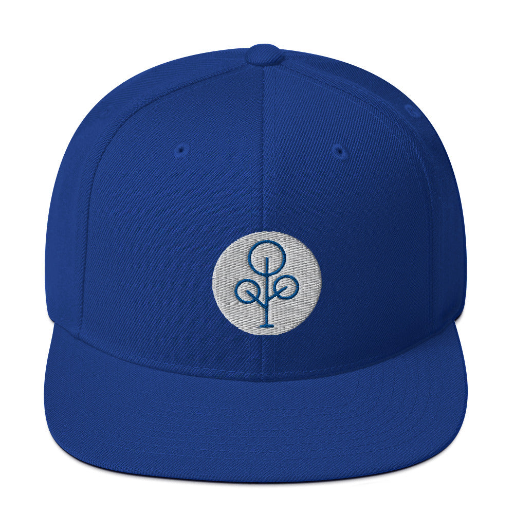 BHawse Family Ties Snapback Hat Royal Blue