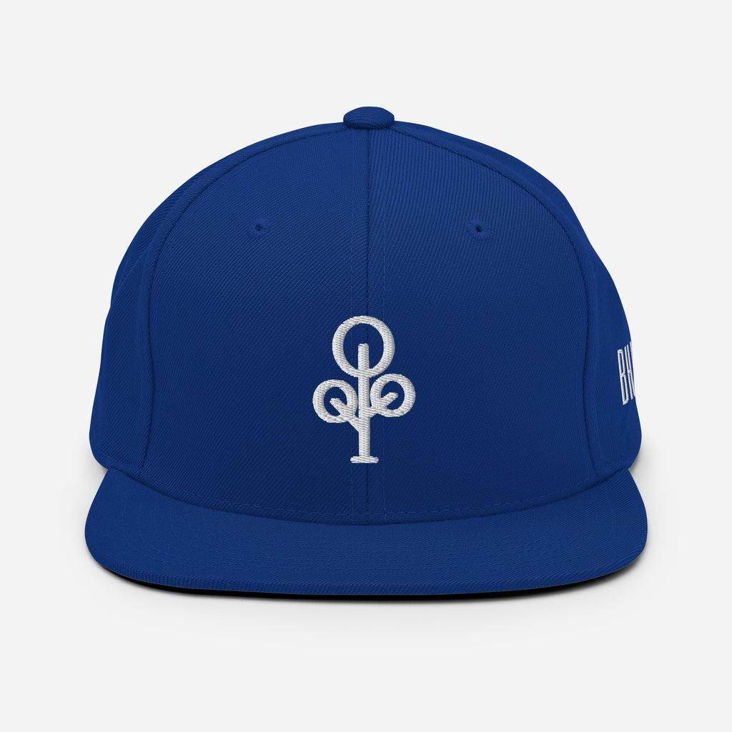 BHawse Ties Snapback B1