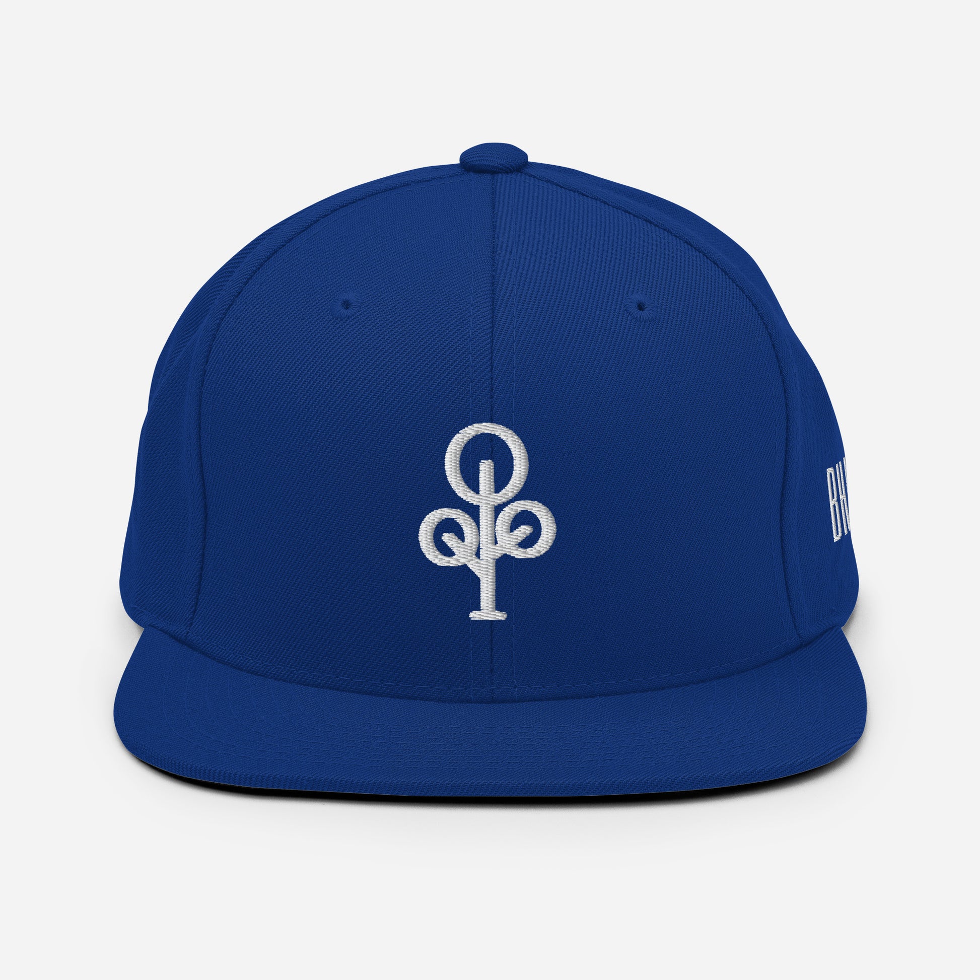 BHawse Ties Snapback B1