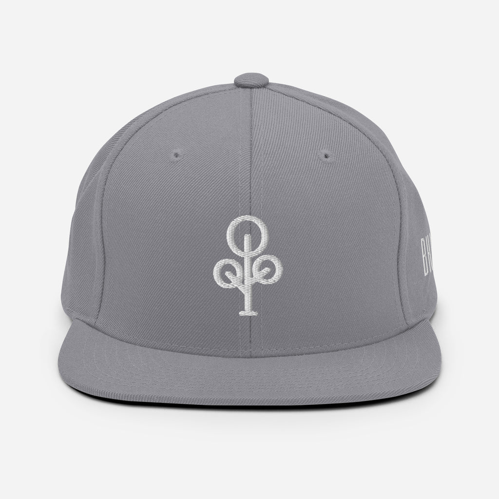 BHawse Ties Snapback B1
