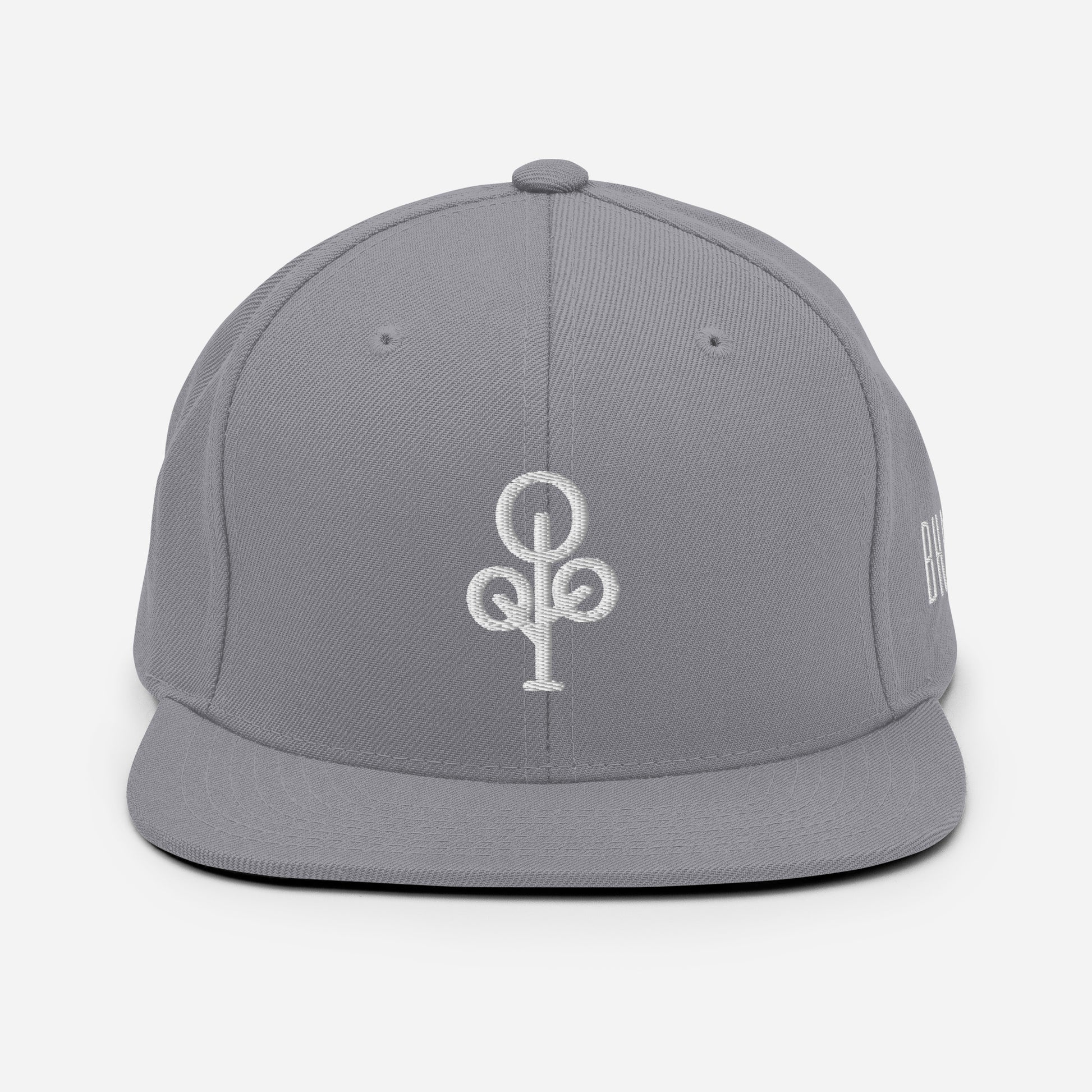 BHawse Ties Snapback B1
