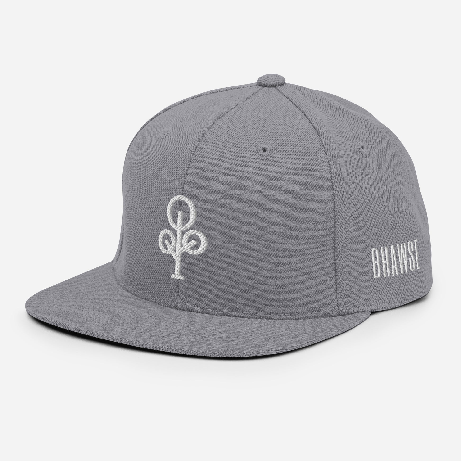 BHawse Ties Snapback B1