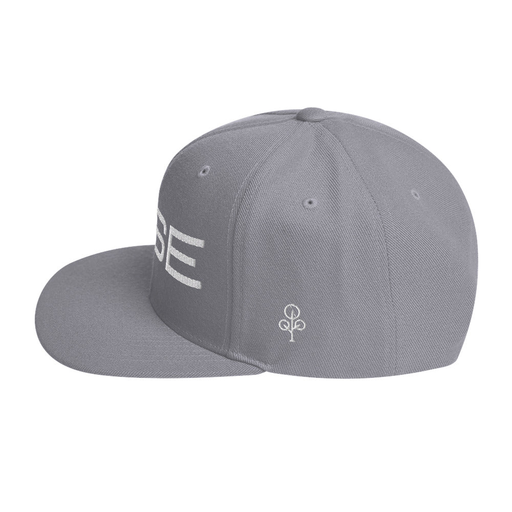 BHSE Snapback Hat