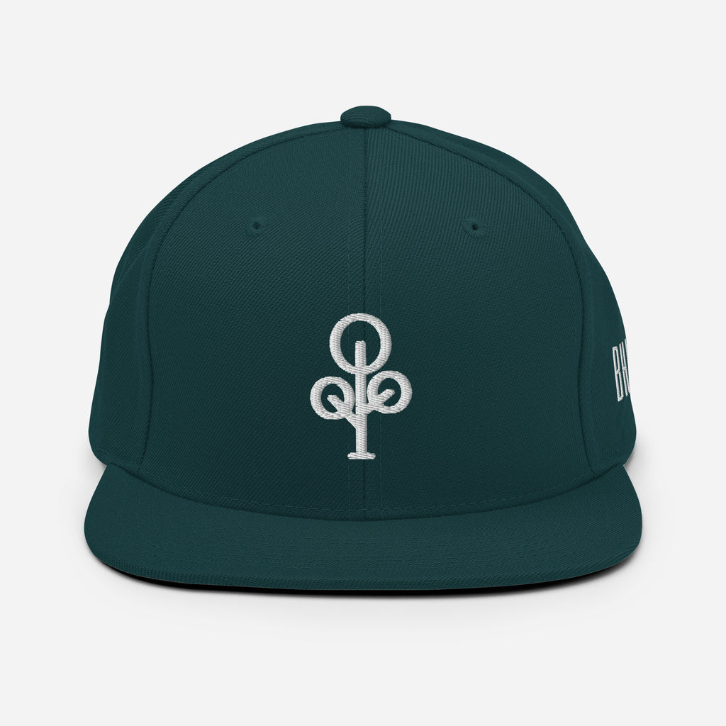 BHawse Ties Snapback B1