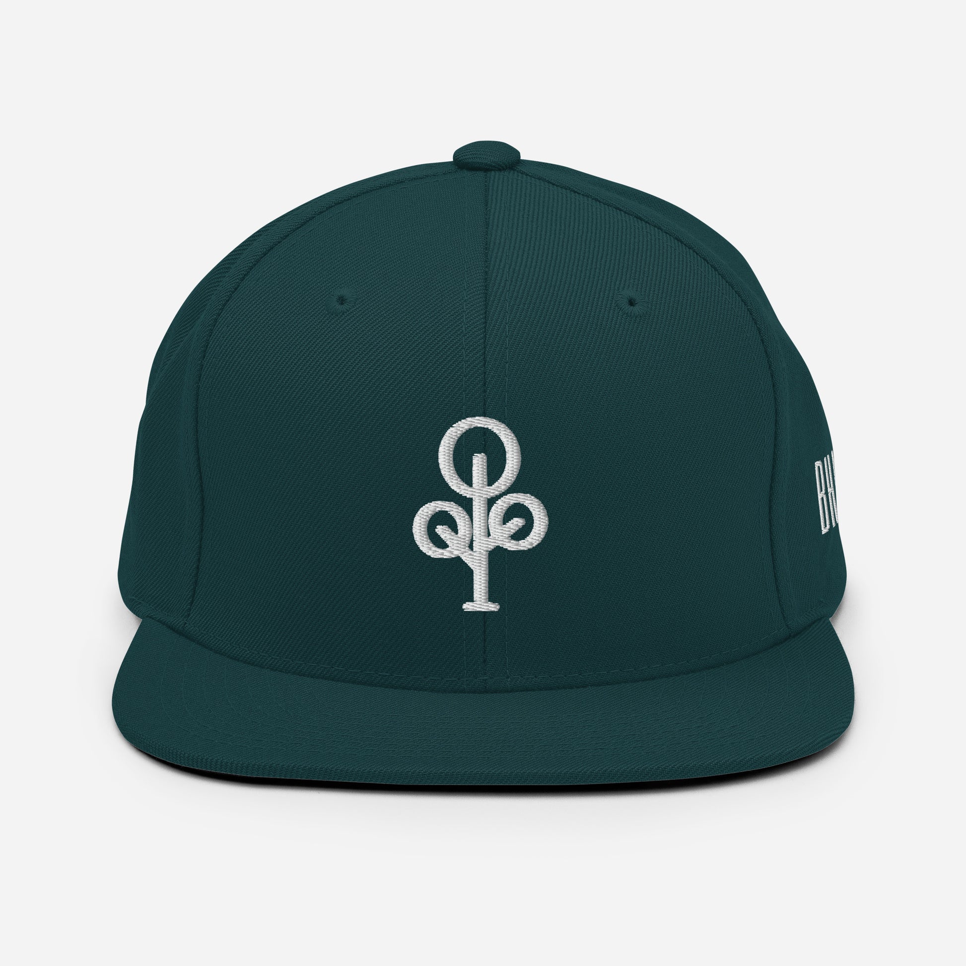 BHawse Ties Snapback B1