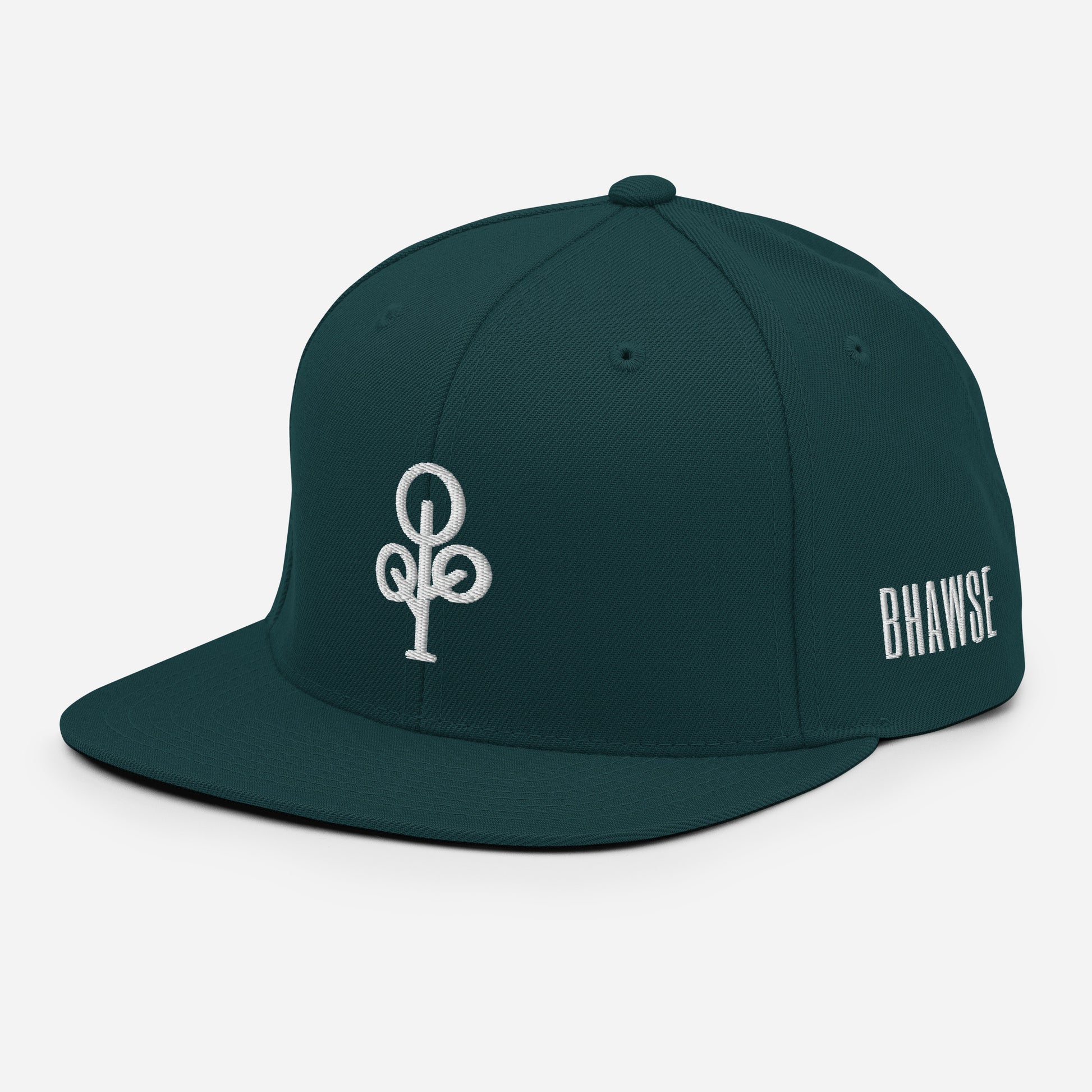 BHawse Ties Snapback B1