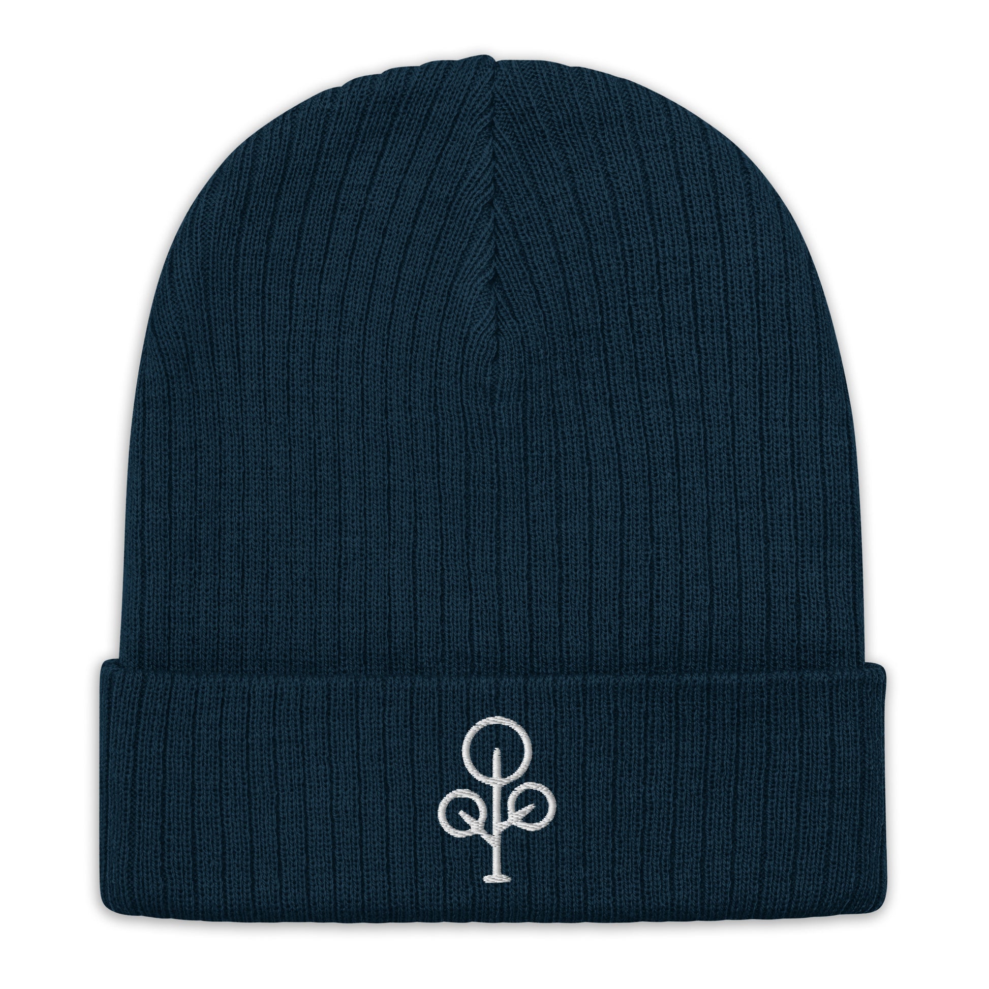 BHawse Ties Ribbed Beanie