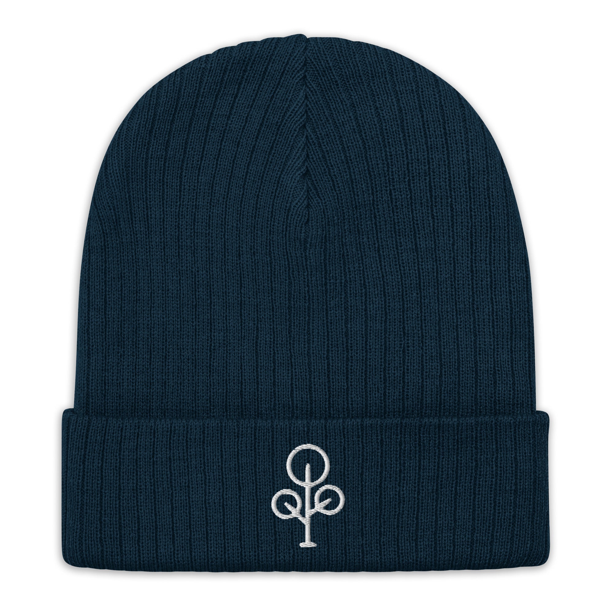 BHawse Ties Ribbed Beanie