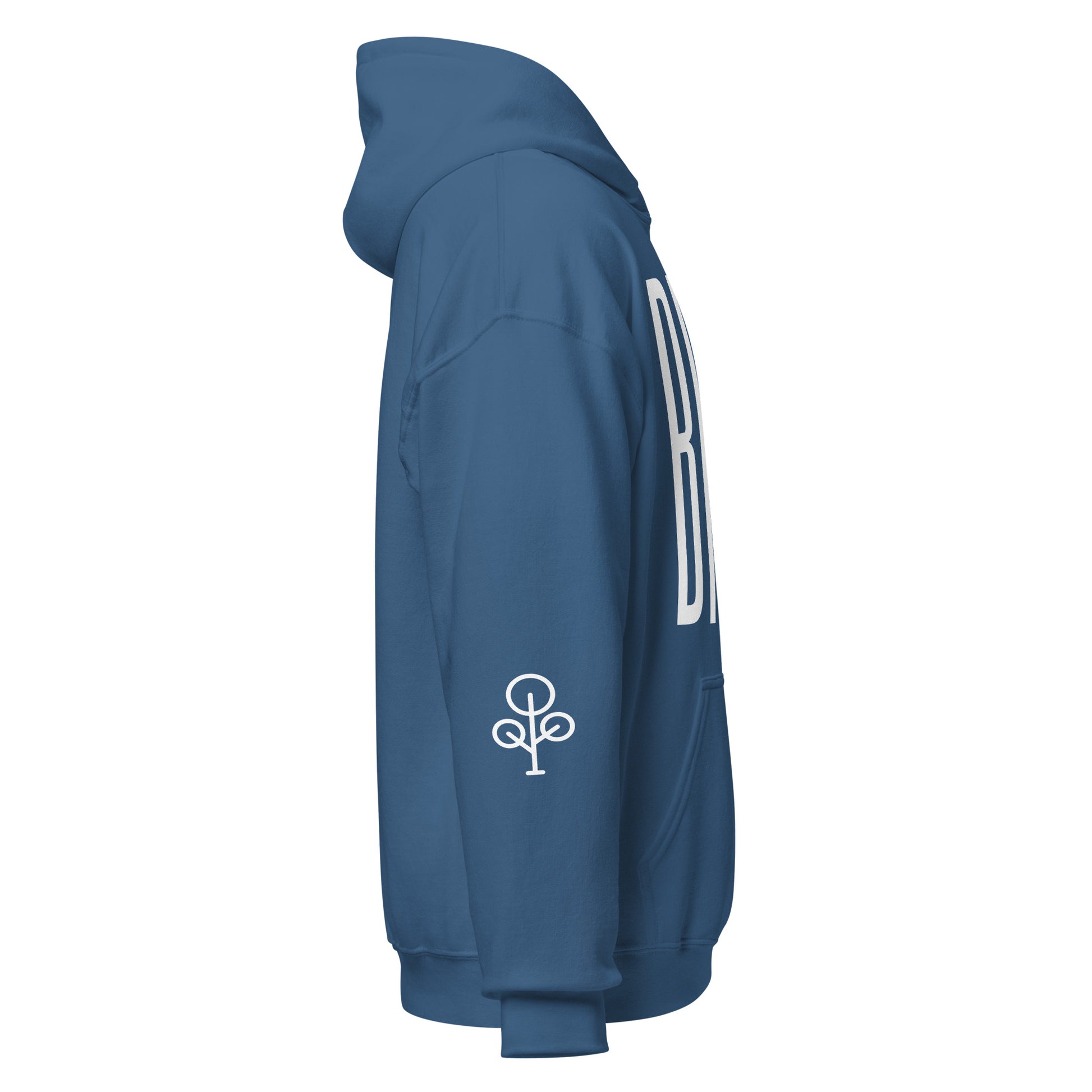 BHSE Family Ties Hoodie