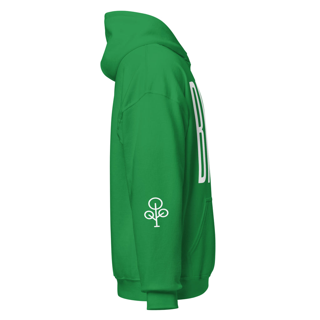 BHSE Family Ties Hoodie