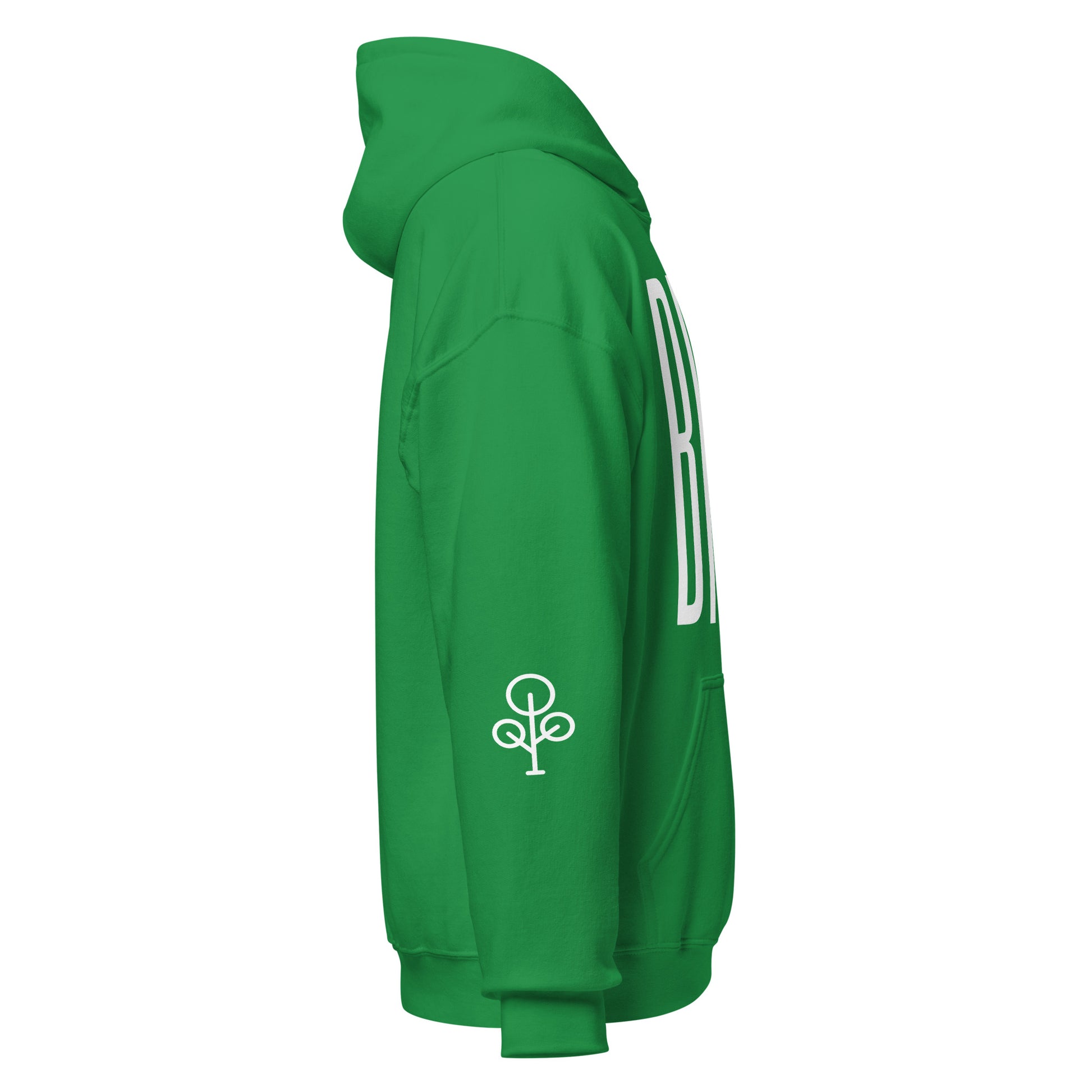 BHSE Family Ties Hoodie